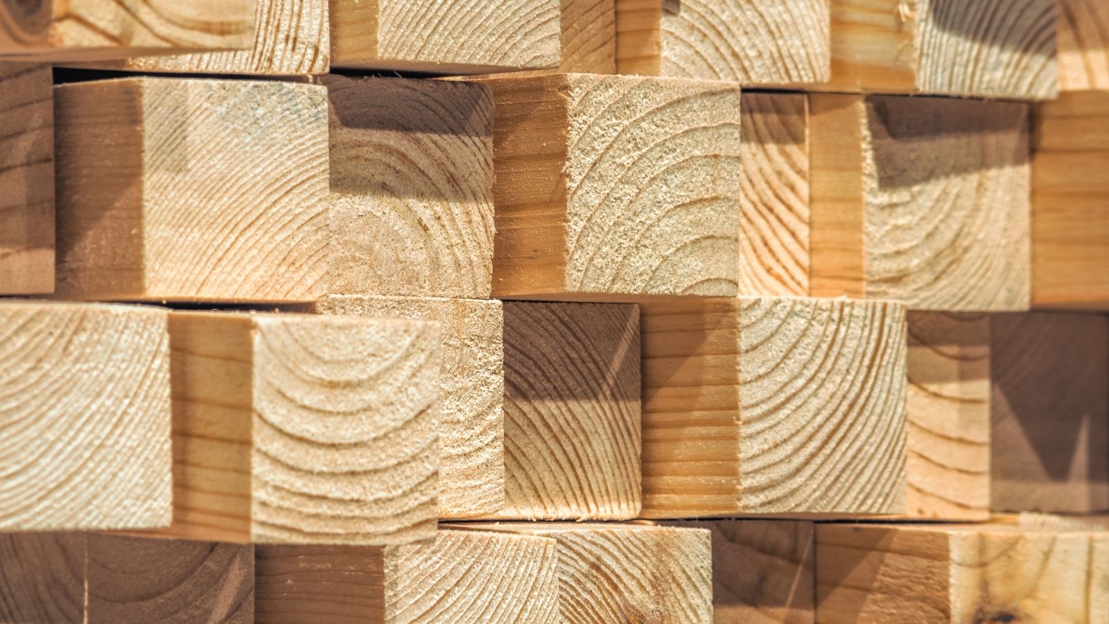 Bilal Kuriş Kereste